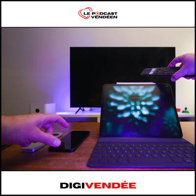 DIGIVENDEE - EPISODE 2 la sécurité et la vie privée sur internet cover