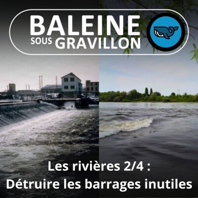 HORS-SÉRIE Les rivières 2/4 : supprimer les barrages inutiles (une émission du Greenletter Club avec les époux Cochet) cover