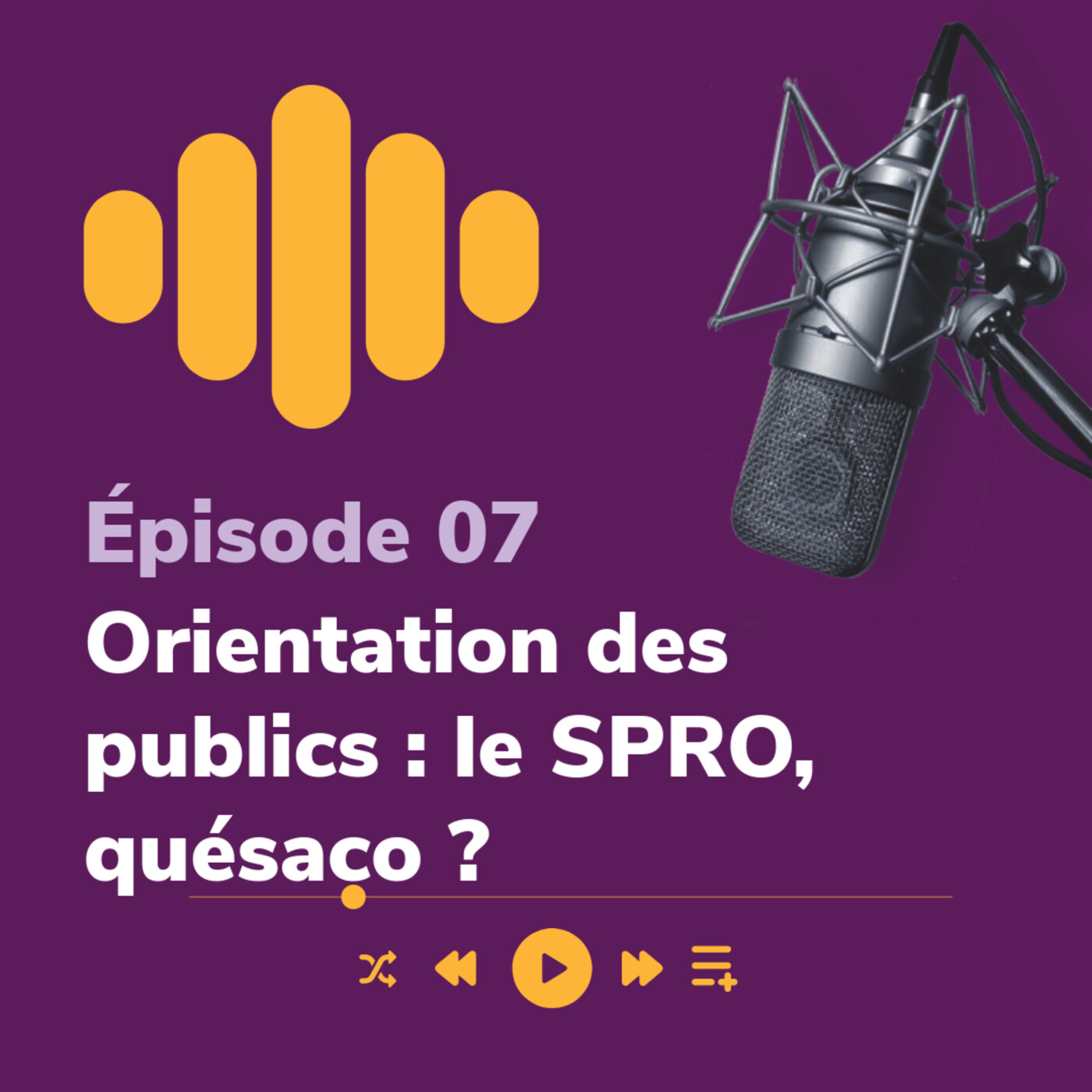 Orientation des publics : le SPRO, quésaco ? — Lampe de Poche par Via Compétences cover