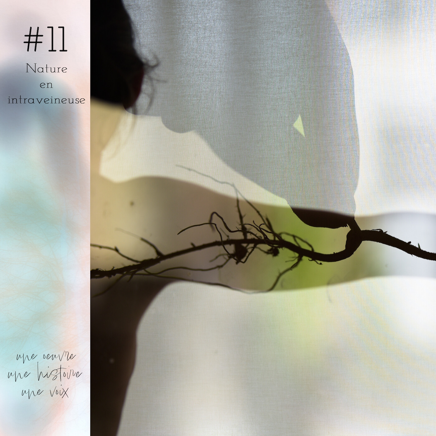 Nature en intraveineuse - #11 episode artwork