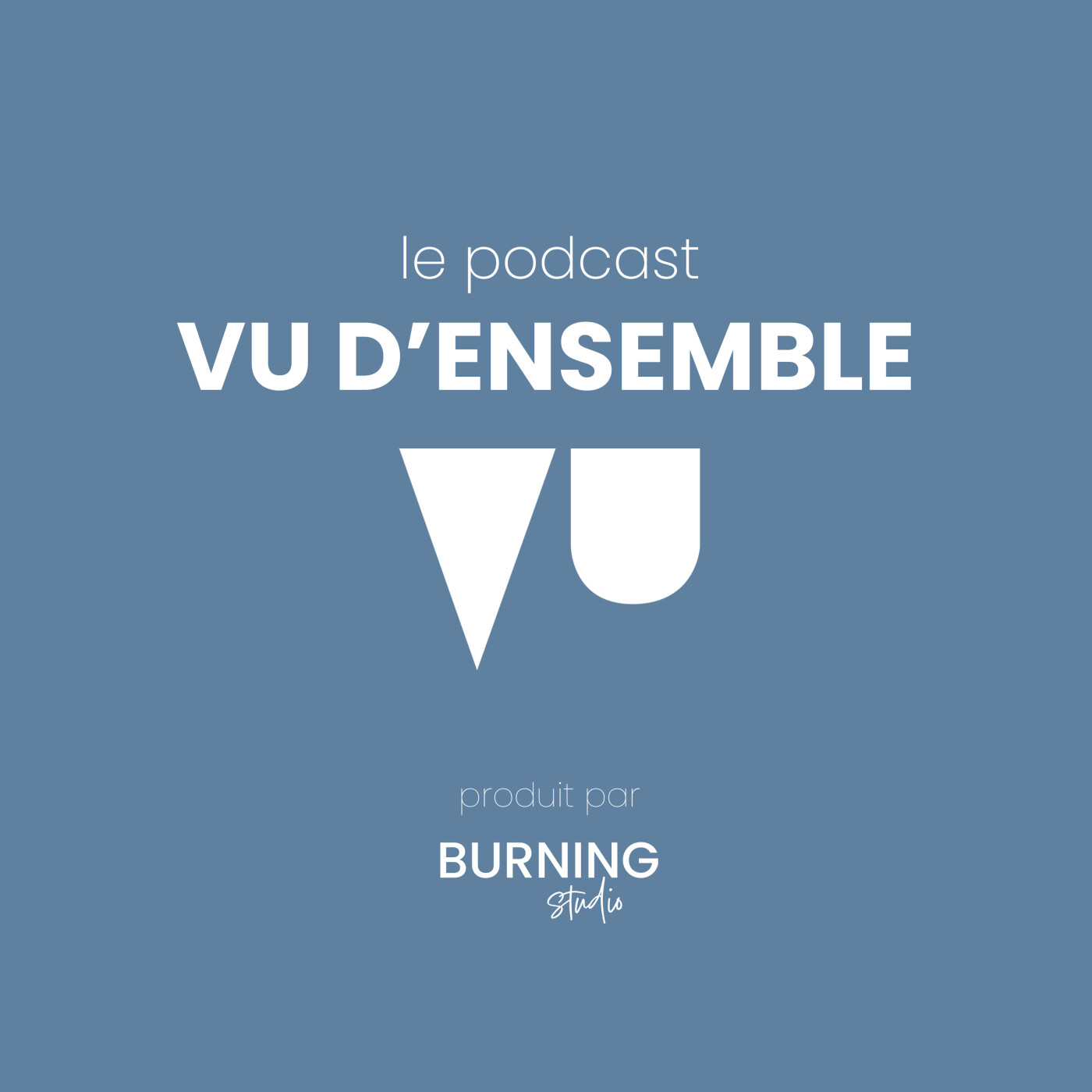 Vu d'Ensemble