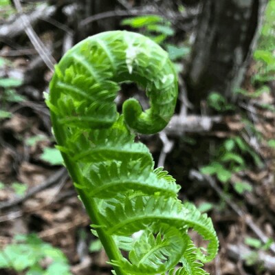 Une bonne mesure débordante ! cover