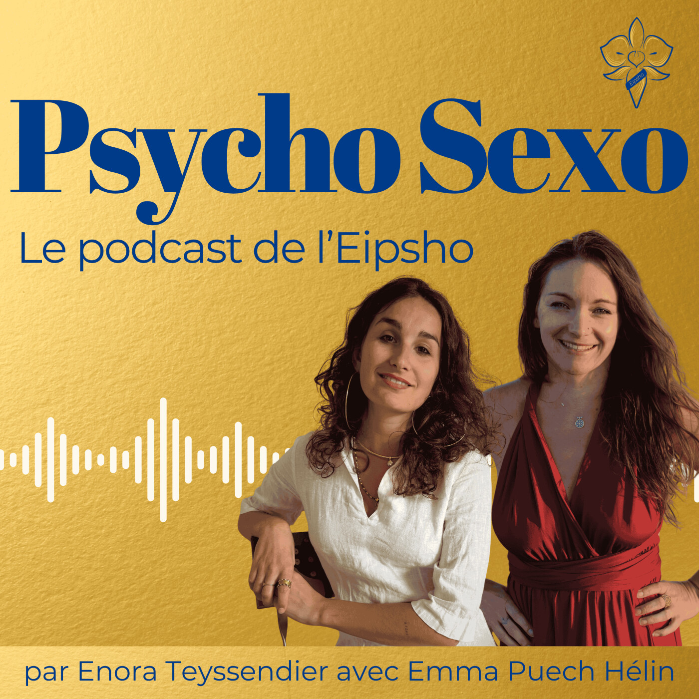 Psycho Sexo - clefs et outils pour accompagner la sexualité et lever les tabous