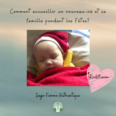 Les fêtes avec un nouveau-né : guide de survie pour l'entourage QSF69 cover