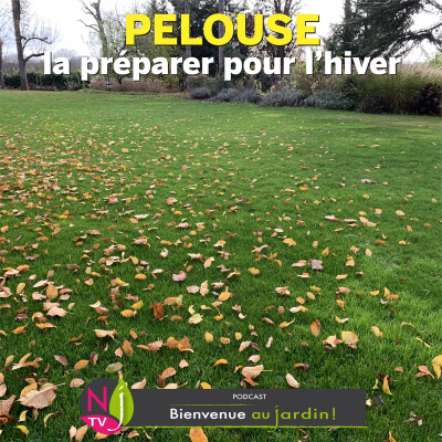 #85: PAROLES D'EXPERTS: PRÉPARER LA PELOUSE POUR L’HIVER cover