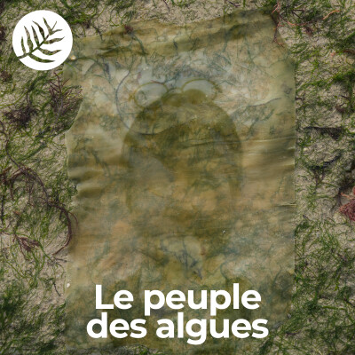 Le Peuple Des Algues : Ingrid Arnaudin - Ep9/10 cover