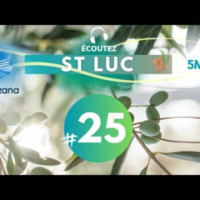 #25 Evangile de St Luc chap 21 • Versets 1-38 | Méditation audio #podcast cover