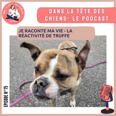 Je raconte ma vie - la réactivité congénères de Truffe cover