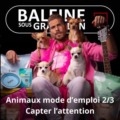 S07E60 Animaux mode d'emploi 2/3 : Jusqu'où peut-on aller trop loin ? (Yvan Kereun) cover