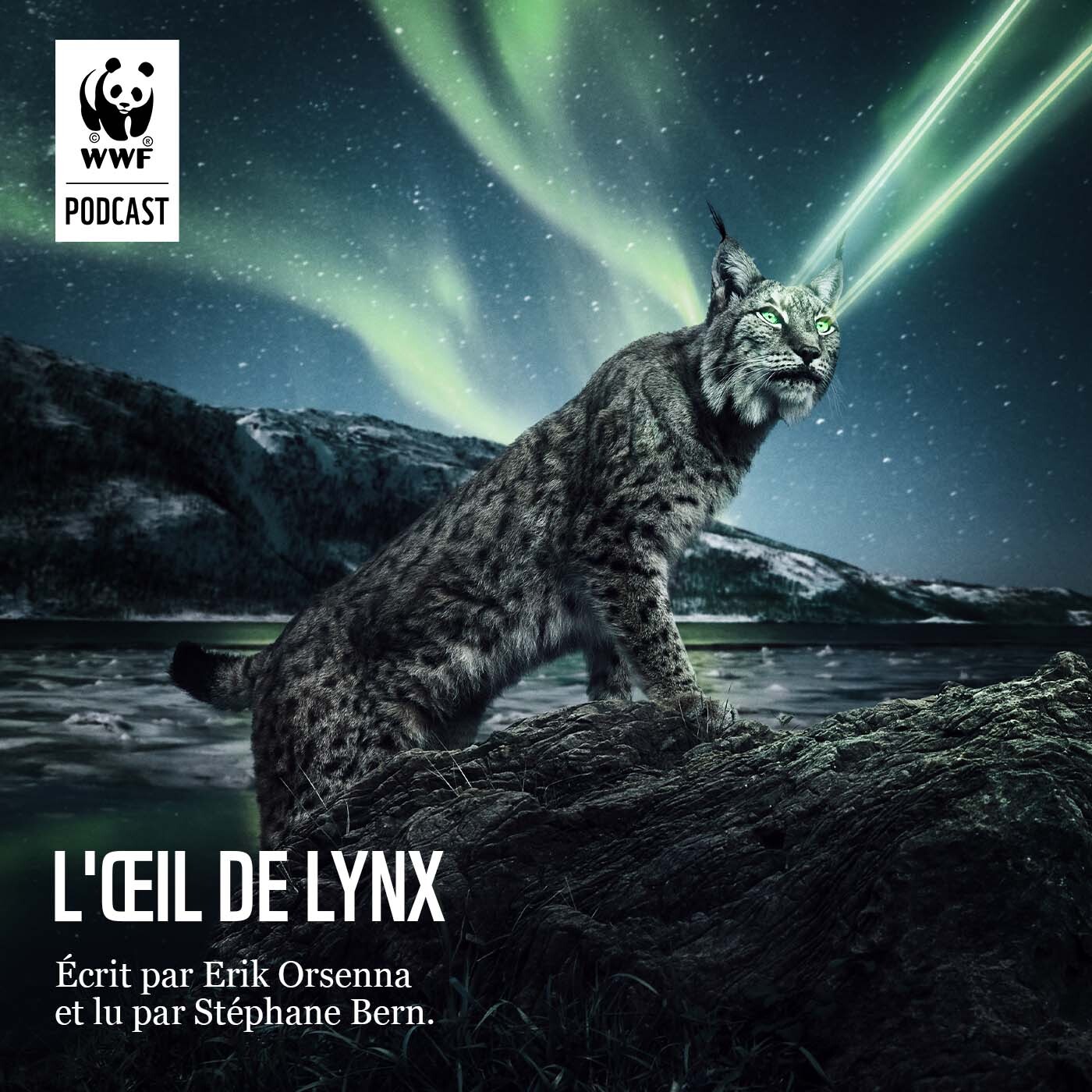 L'œil du Lynx