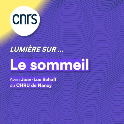 Lumière sur... Le sommeil cover