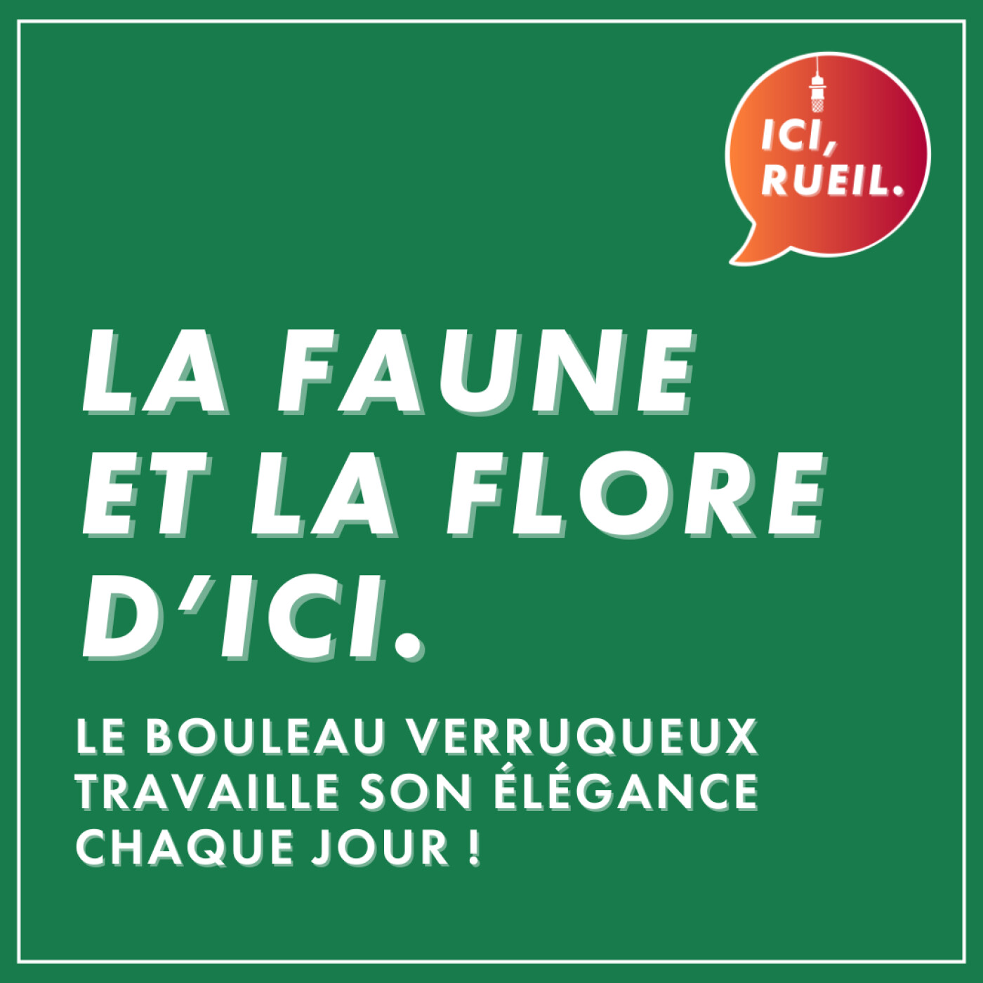 La Faune et la Flore d'Ici : Le bouleau verruqueux travaille son élégance chaque jour ! episode artwork
