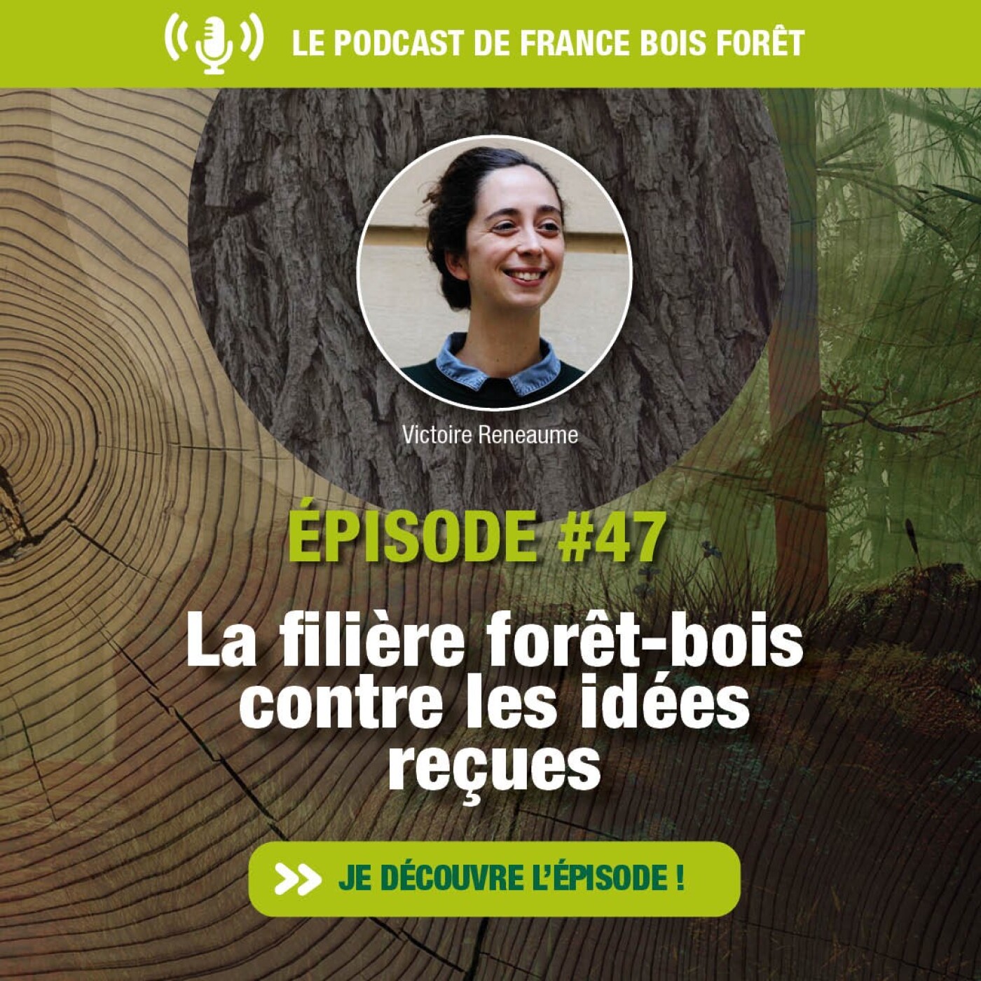 France Bois Forêt, l\'univers du bois, de la ressource au chantier