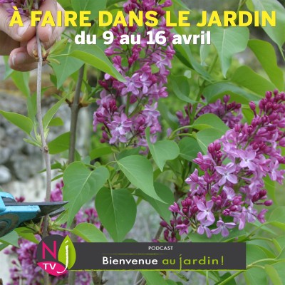 QUE FAIRE DANS LE JARDIN DU 9 AU 16 AVRIL ? cover