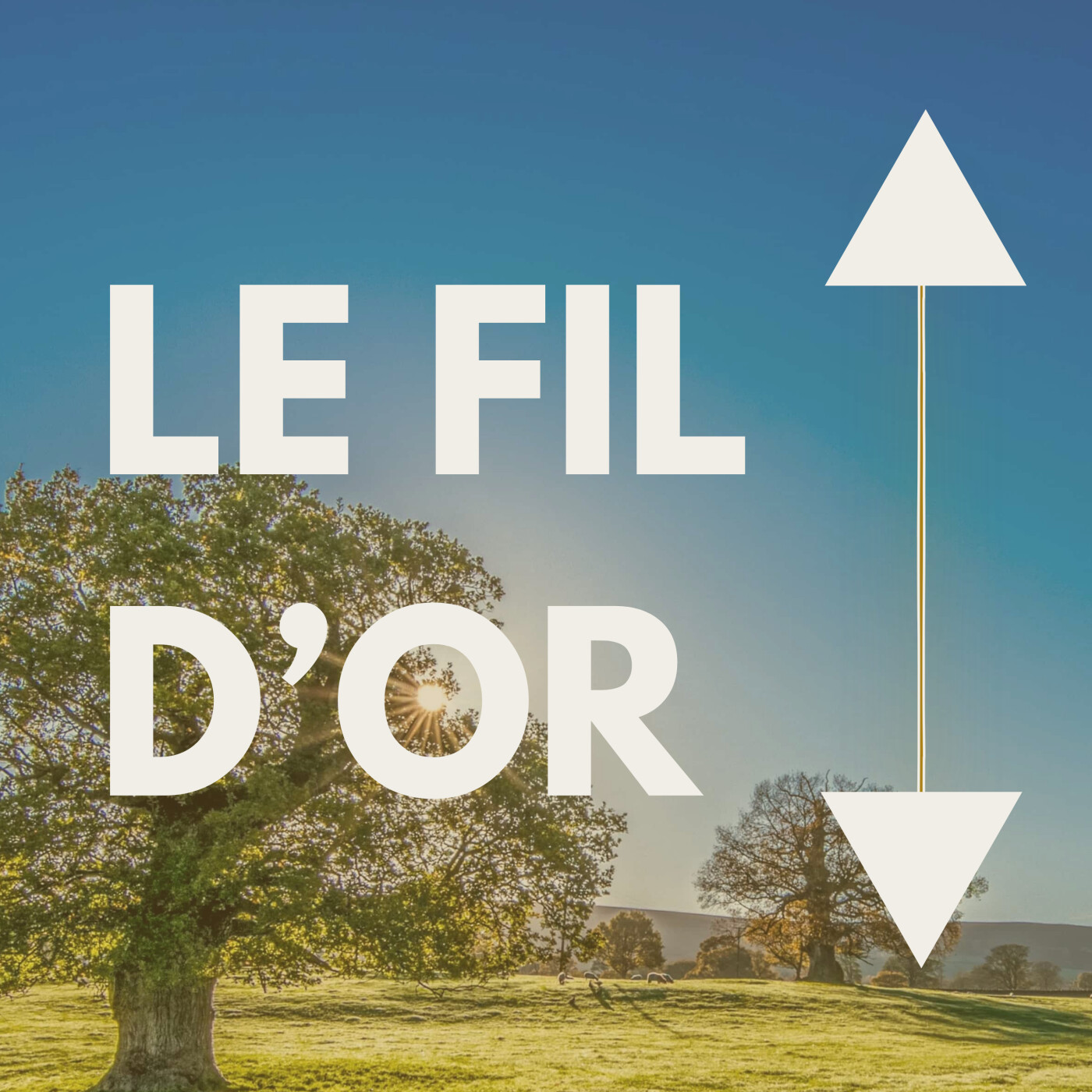 Le Fil d'Or - Conversations sur les Lois de la Vie