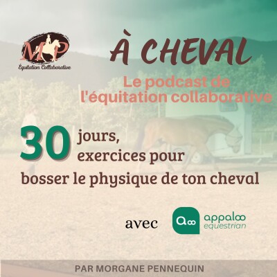 [30 jours, 30 exercices pour bosser le physique de ton cheval] jour 3 : introduction à la thématique de la tonicité générale. cover