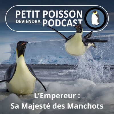 S05E22 Les Manchots : Sa majesté le Manchot empereur (Mathilde Chevallay) cover