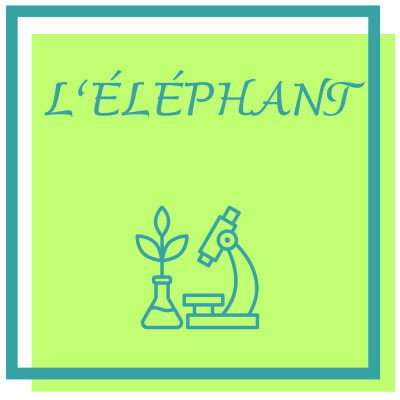 L'Eléphant: le plus grand mammifère terrestre cover