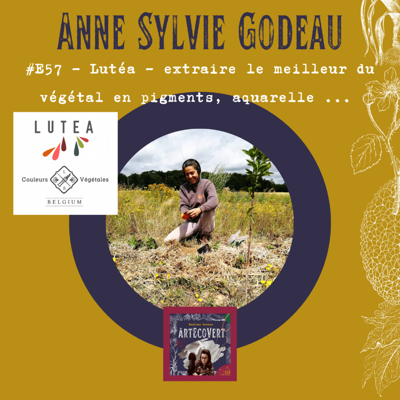 ArtEcoVert La voix de la couleur végétale et des plantes tinctoriales