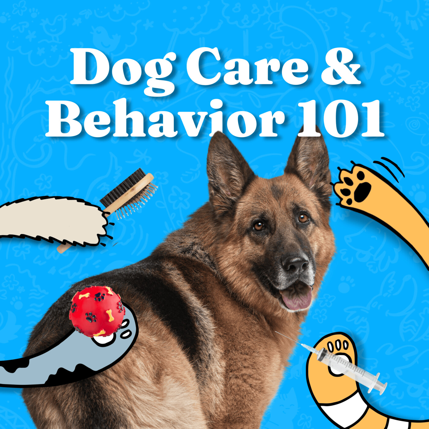 Vet Tips: The Importance of Dog Care and Behavior 101 episode artwork