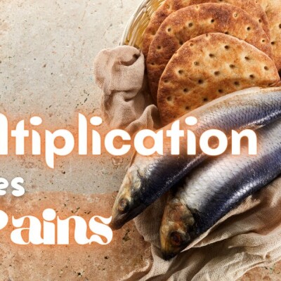 Parole et Évangile du jour | Lundi 7 août • La multiplication des pains : possible ? cover