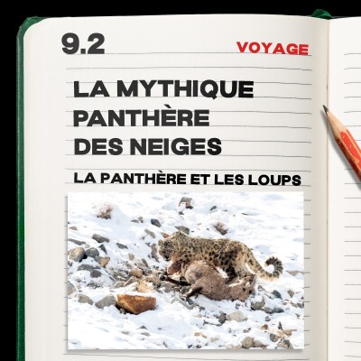 #9.2 La mythique Panthère des neiges cover