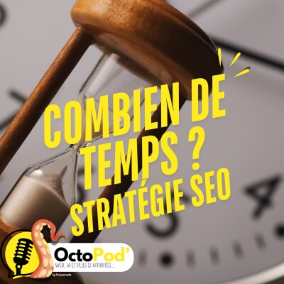 “Combien de temps faut-il attendre pour voir les résultats d’une stratégie SEO ?” cover