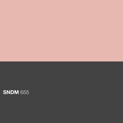SNDM 655 cover