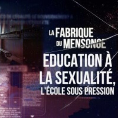 LA FABRIQUE DU MENSONGE : FLOUS, OMISSIONS ET PENSÉE UNIQUE cover