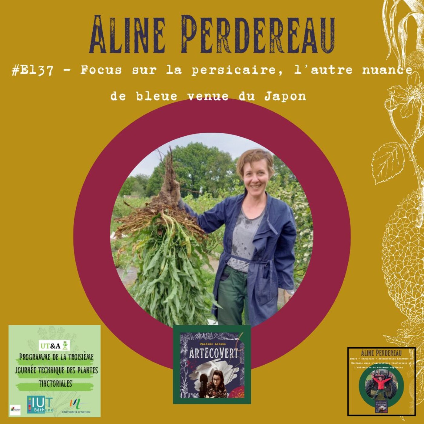 ArtEcoVert La voix de la couleur végétale et des plantes tinctoriales