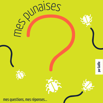 E26 les fourmis cover