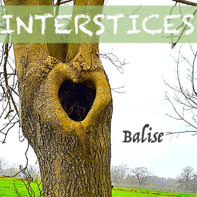 Balise cover