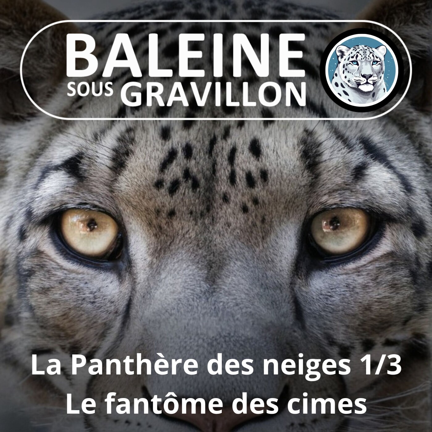 HORS-SÉRIE La Panthère des neiges 1/3 : Qui est ce fantôme de l'Himalaya ? episode artwork
