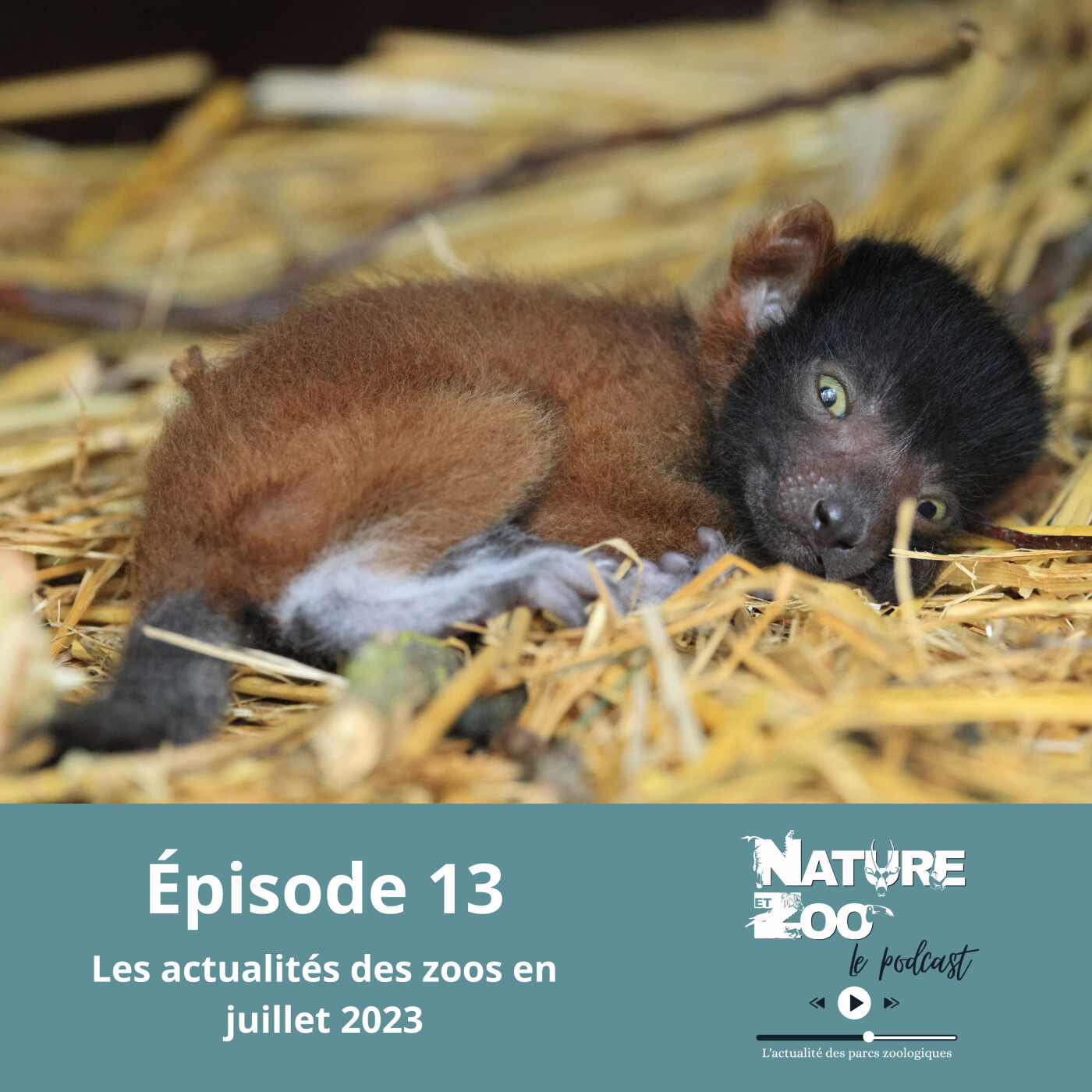 Nature et Zoo - Le Podcast