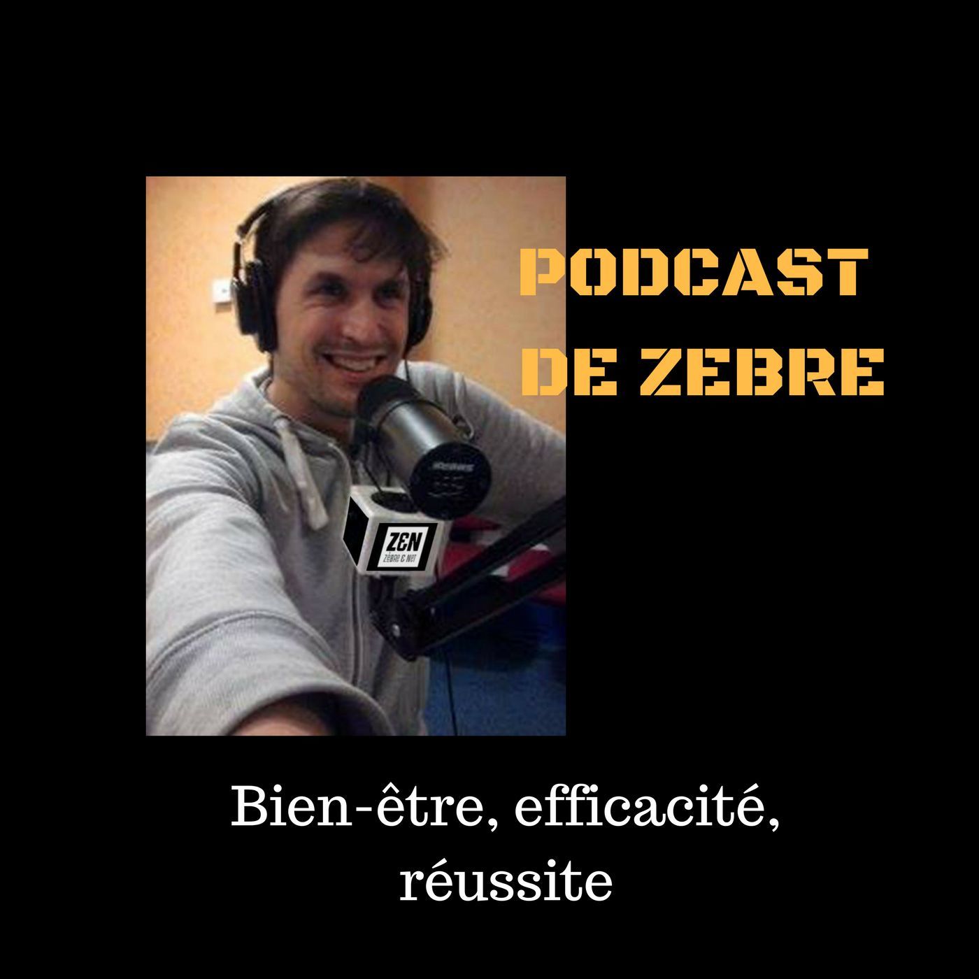 Parole de zebre