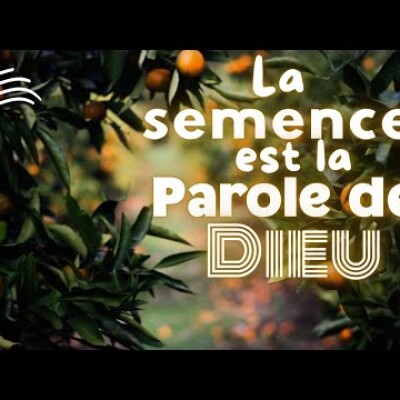 Parole et Évangile du jour | Mercredi 23 juillet • Dieu agit avec Précision cover