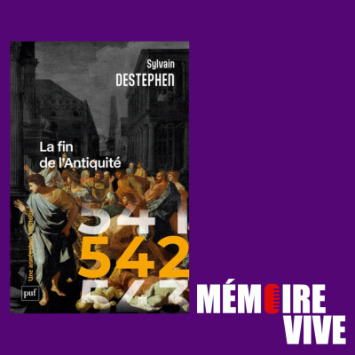 J'ai lu pour vous : 542, la fin de l'Antiquité (S. Destephen) cover