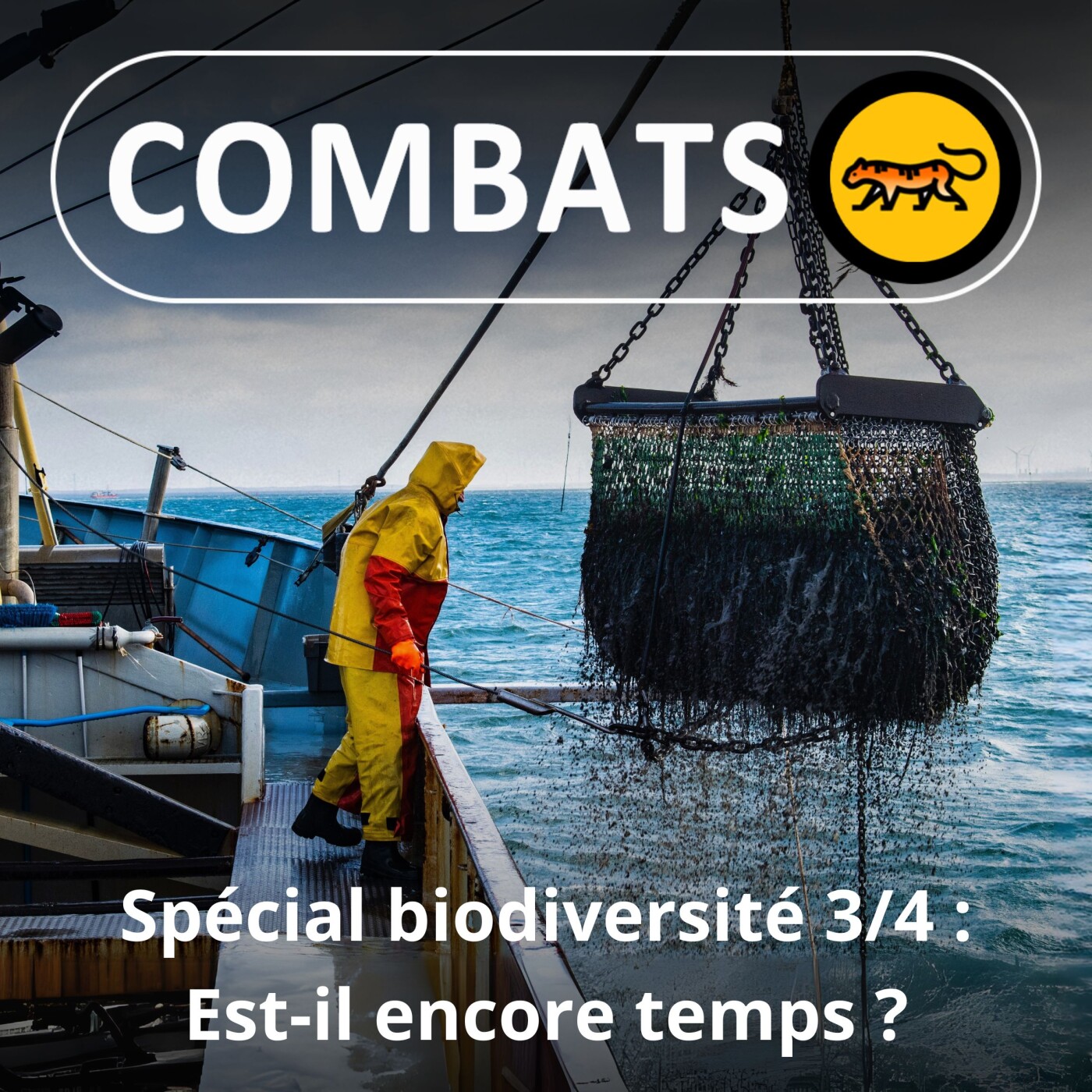 Artwork for Combats