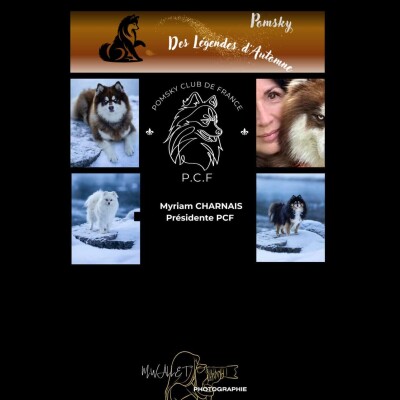 51. Rencontre avec la Présidente du Club Pomsky de France cover