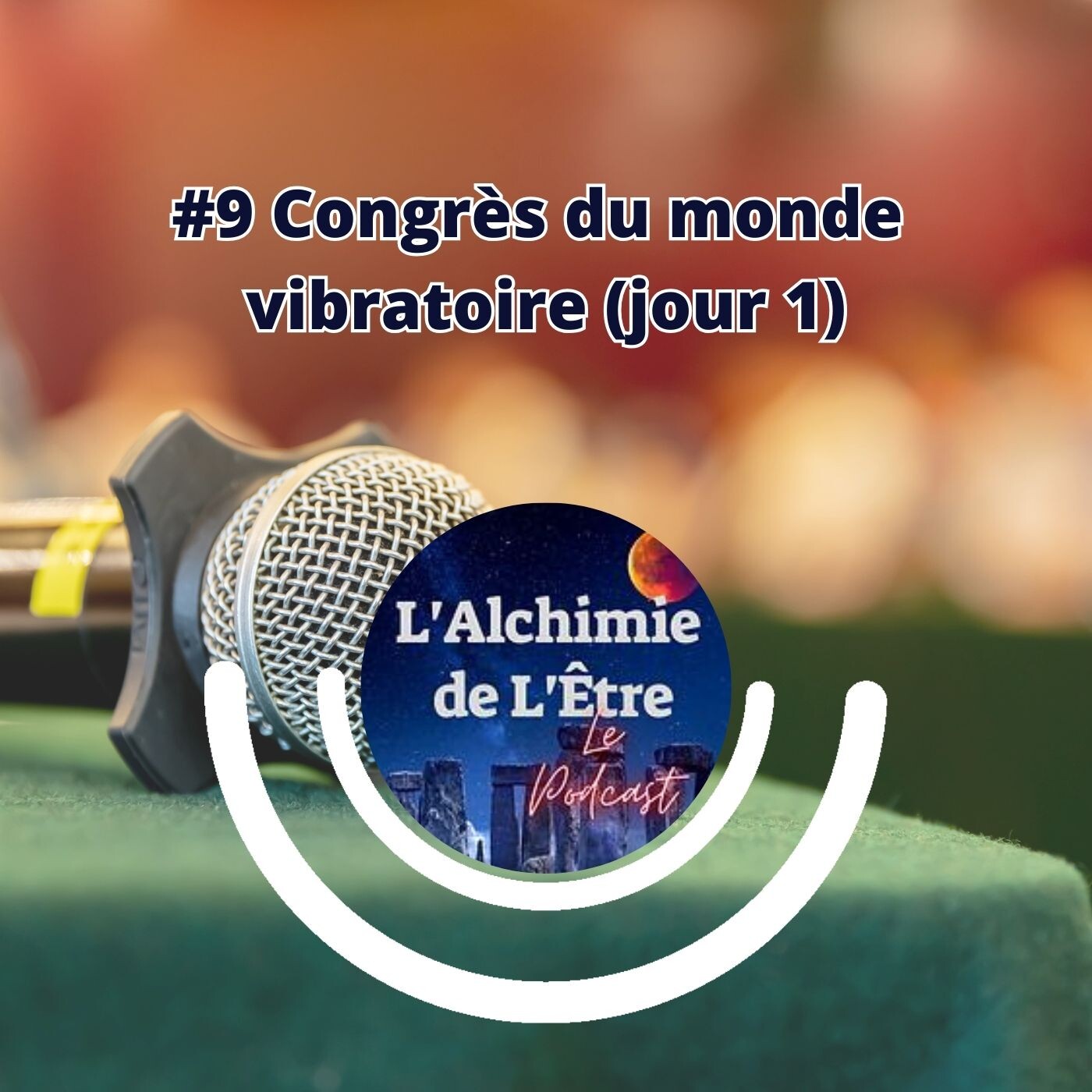 #9 Congrès du monde vibratoire (jour 1) #9 Congrès du monde vibratoire (jour 1)