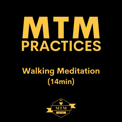 Walking Meditation cover
