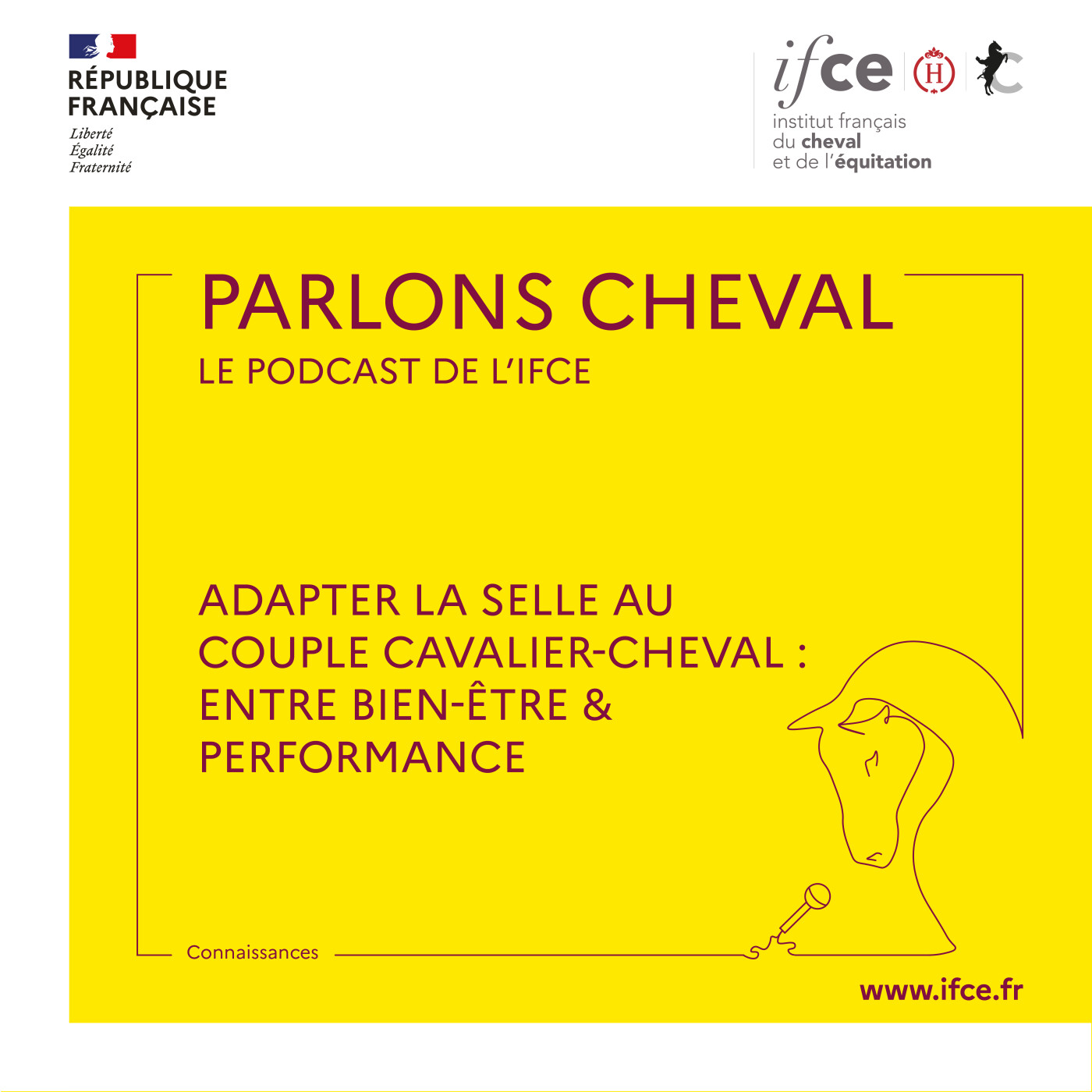 Ép. 34 | Adapter la selle au couple cavalier/cheval : entre bien-être & performance - Benoit Pasquiet & Anna Kozlovskaya