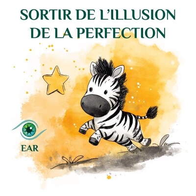 Sortir de lâillusion de la perfection ? cover