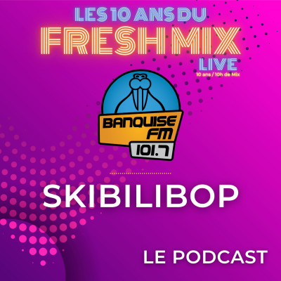 Les 10 ans du Fresh Mix - Skibilibop cover
