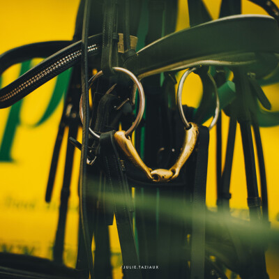 🎙️ Interview • Eva Bucquet de chez Mors&More — Les embouchures et la briderie cover