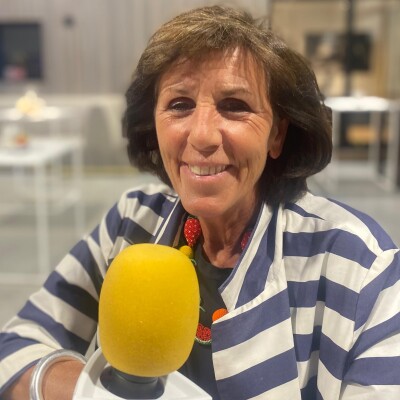 When Brussels meets Knokke - Diane Hennebert- Restauratrice du patrimoine cover