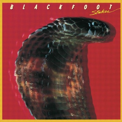 UN JOUR UN DISQUE #630 BLACKFOOT STRIKE cover