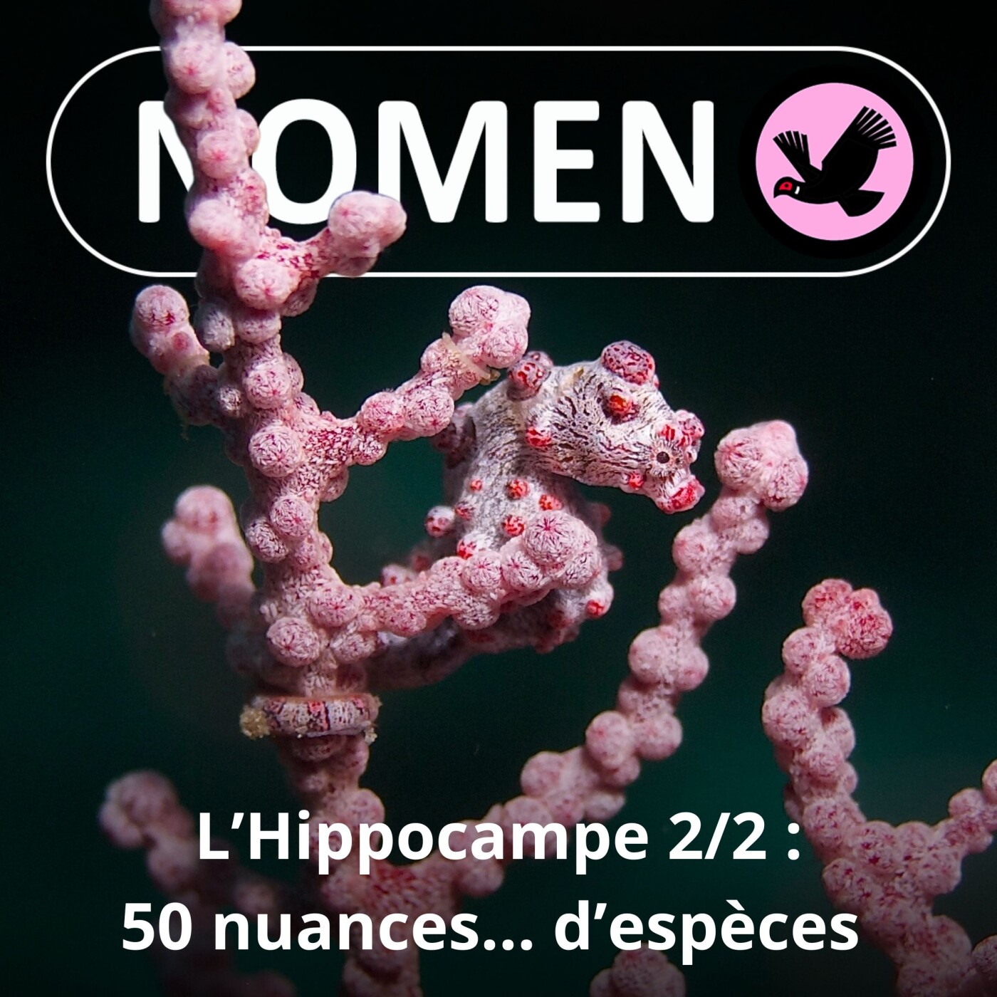 Nomen