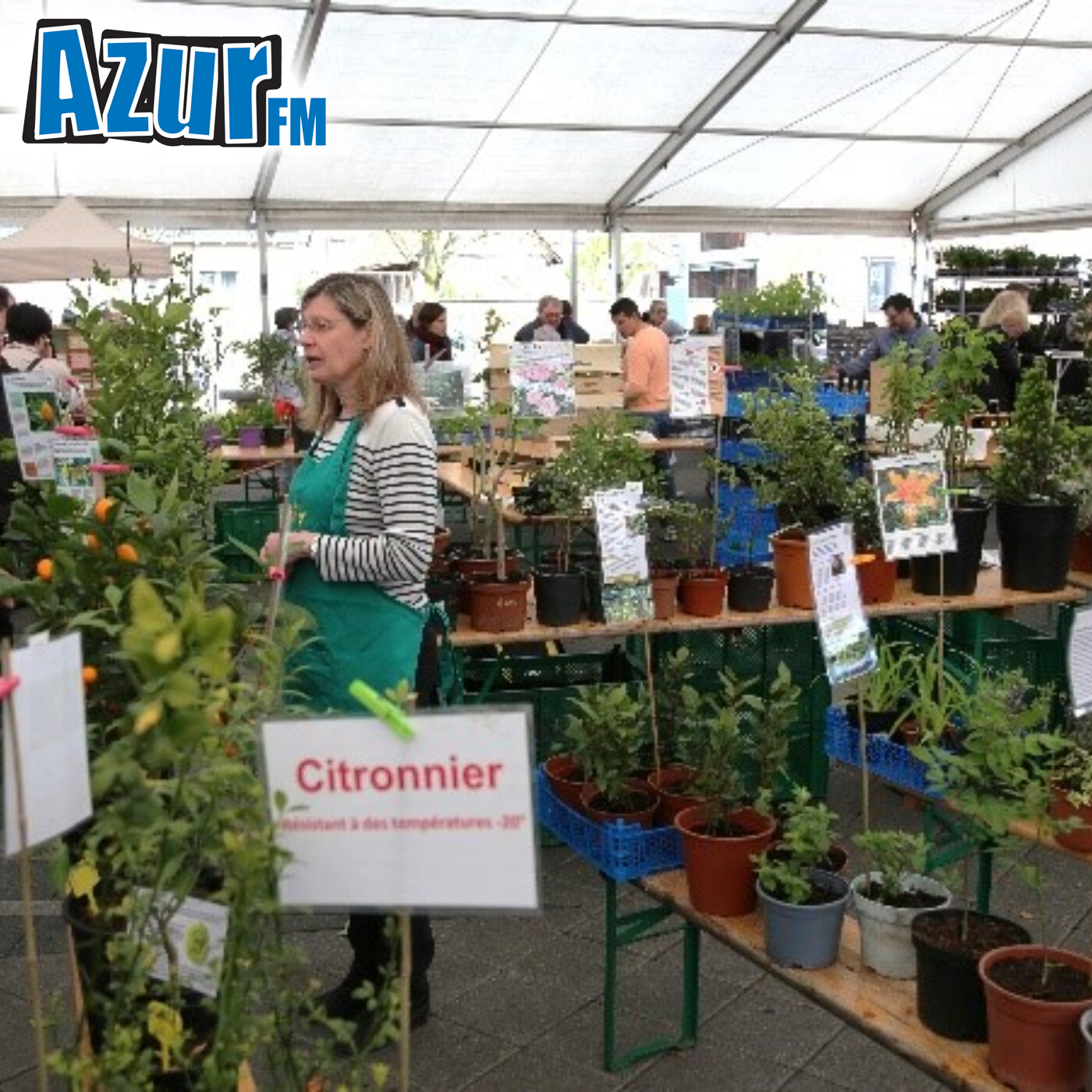 Bischwiller : Un marché aux plantes pour finir le mois d’avril episode artwork