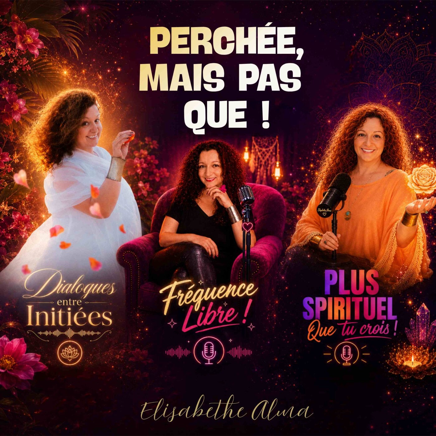 12 - Le nouveau souffle de Perchée, mais pas que ! episode artwork
